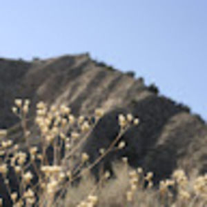 Meet your Posher, Ally